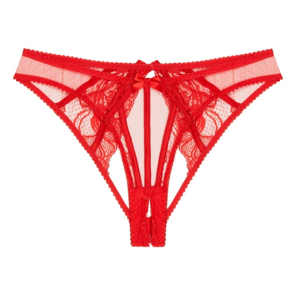Agent Provocateur Rozlyn Red Ouvert Brief NWT $175